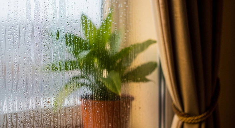 Problemy z wilgocią przy oknach – jak je rozwiązać